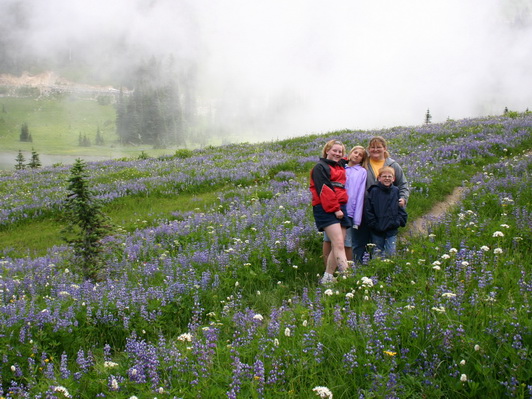 High Meadow Flowers in WA