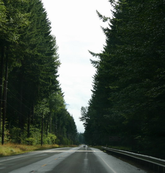 Driving down a WA Road