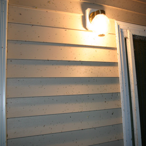 back porch