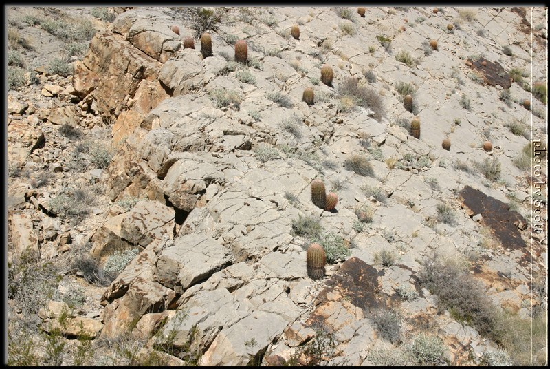 ArrowCanyon03