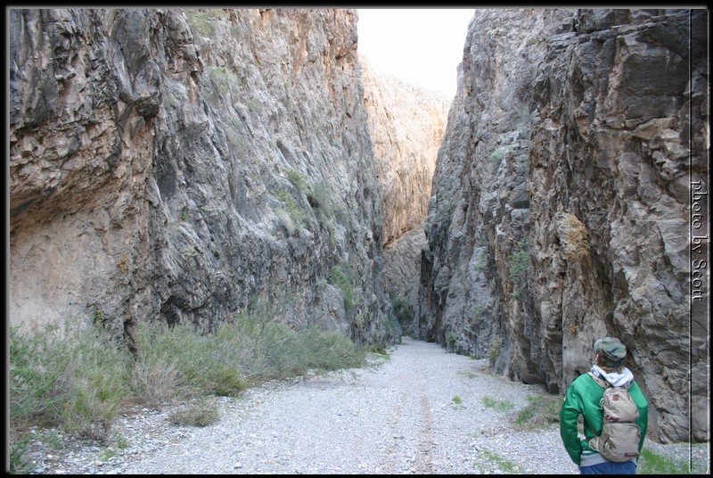 ArrowCanyon15