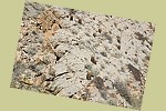 ArrowCanyon03.jpg