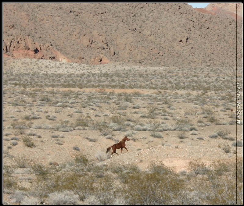 lake-mead02