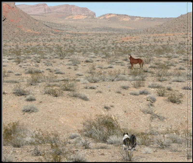 lake-mead03