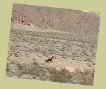 lake-mead02.jpg