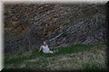 IMG_9833.jpg(122 KB)