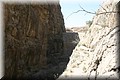IMG_9839.jpg(101 KB)