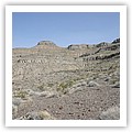IMG_0063.jpg