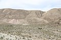 IMG_0070.jpg