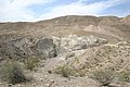 IMG_0071.jpg