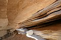 IMG_0098.jpg