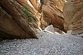 IMG_0104.jpg