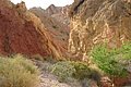 IMG_0115.jpg