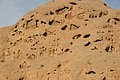 IMG_0116.jpg